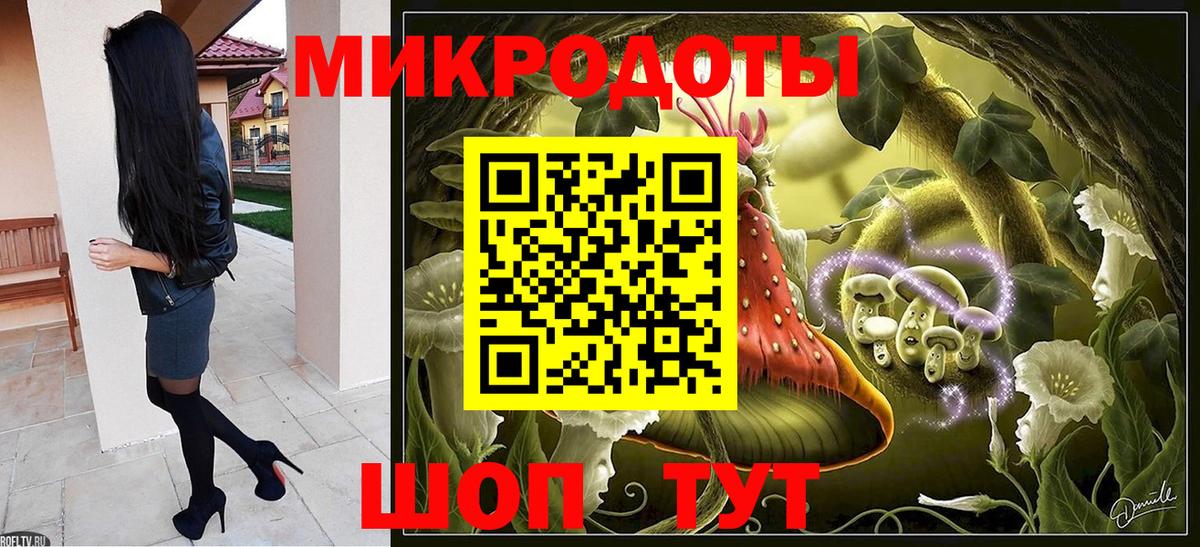 Псилоцибиновые грибы Psilocybine cubensis Азнакаево